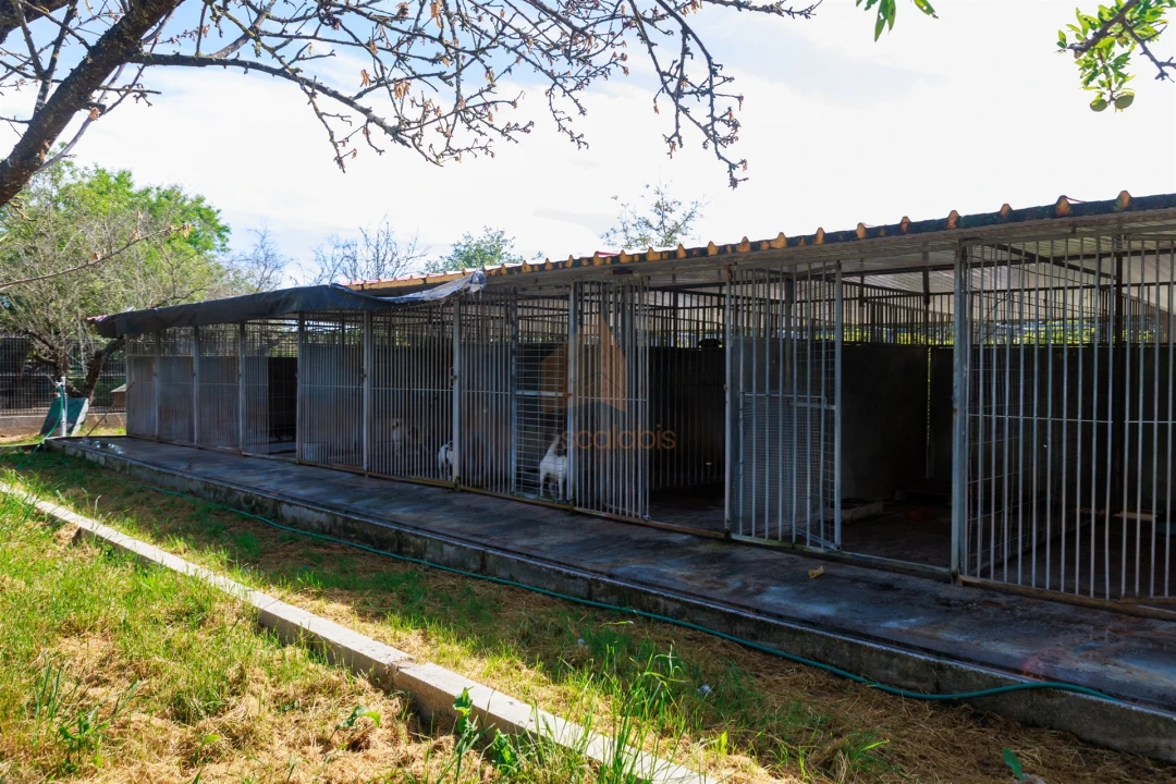 Terreno para Venda em Pontevel Foto 26