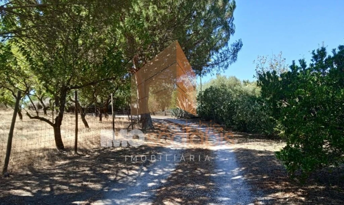 Terreno para Venda em Pontevel Foto 14