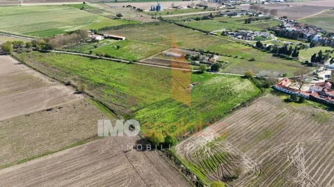 Terreno para Venda em Alpiarça