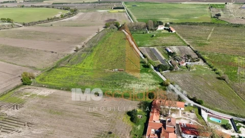 Terreno para Venda em Alpiarça