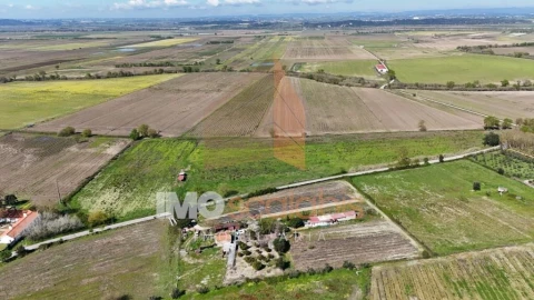Terreno para Venda em Alpiarça