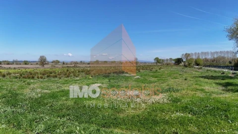 Terreno para Venda em Alpiarça