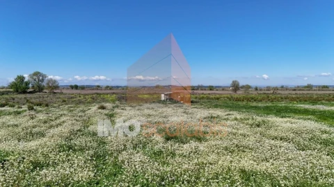 Terreno para Venda em Alpiarça