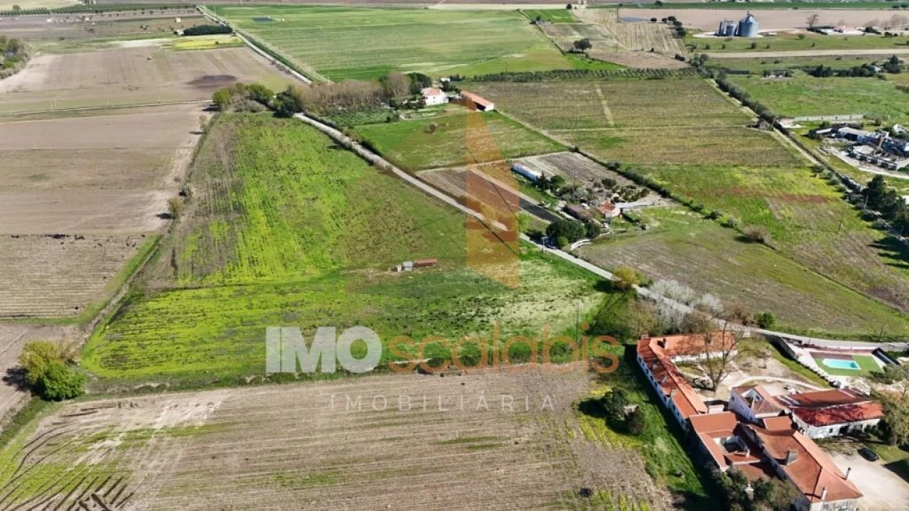Terreno para Venda em Alpiarça Foto 4