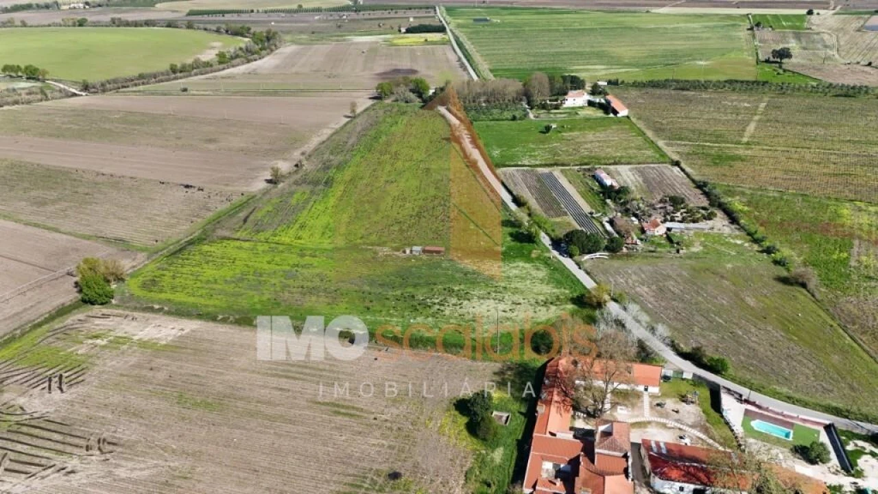 Terreno para Venda em Alpiarça Foto 3