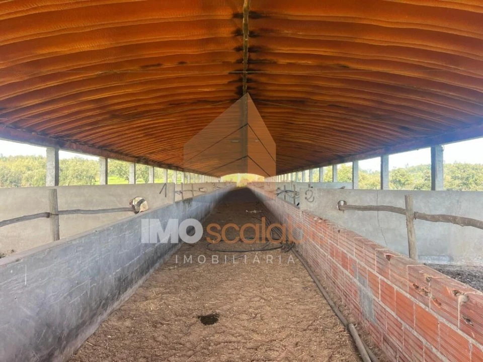 Quinta T2 para Venda em Raposa Foto 34