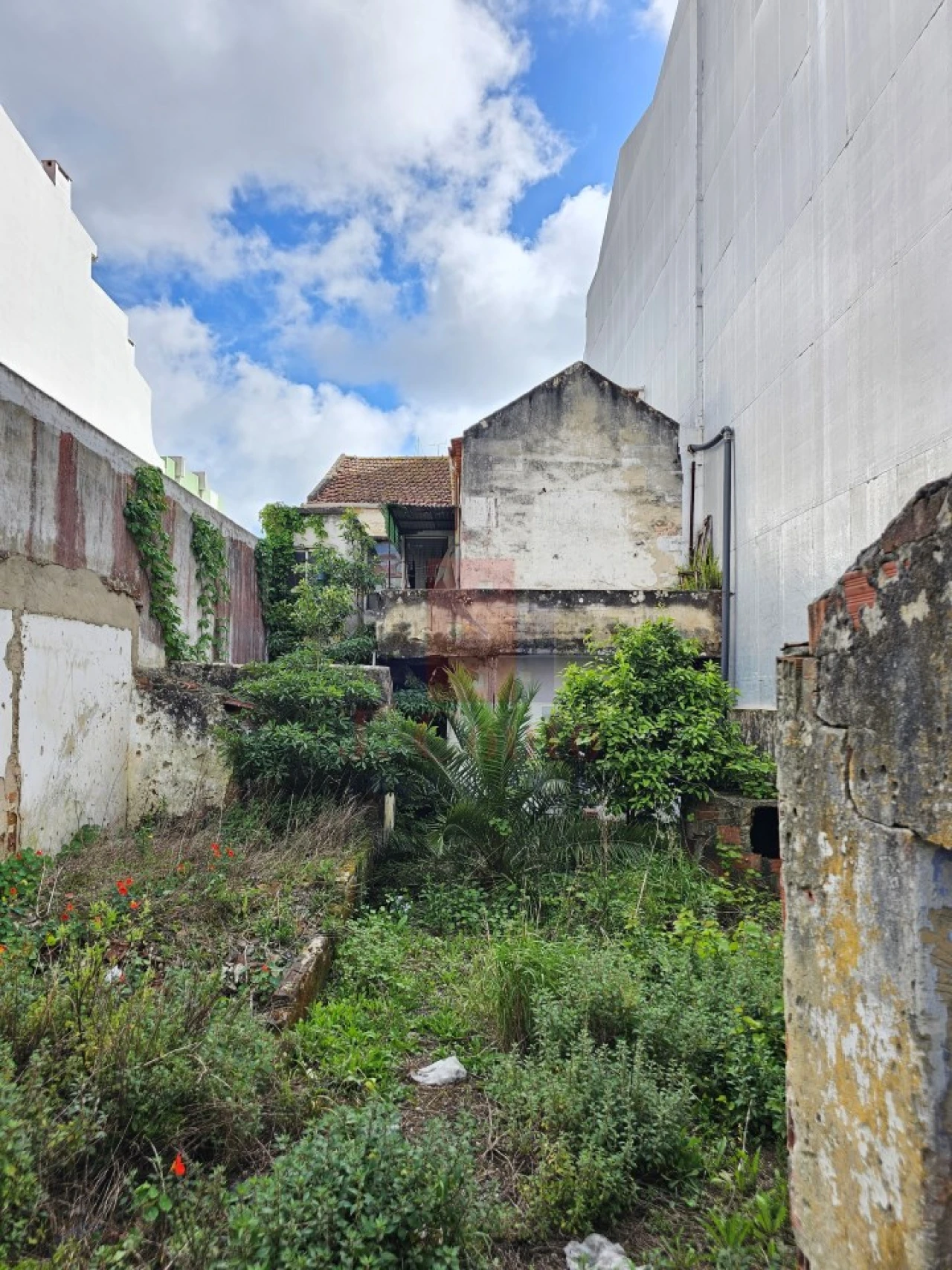 Prédio para Venda em Caldas da Rainha - Santo Onofre e Serra do Bouro Foto 3