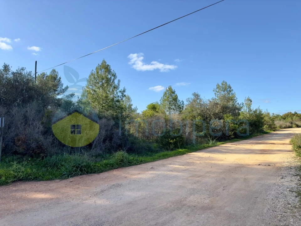 Terreno para Venda em Algoz e Tunes Foto 3