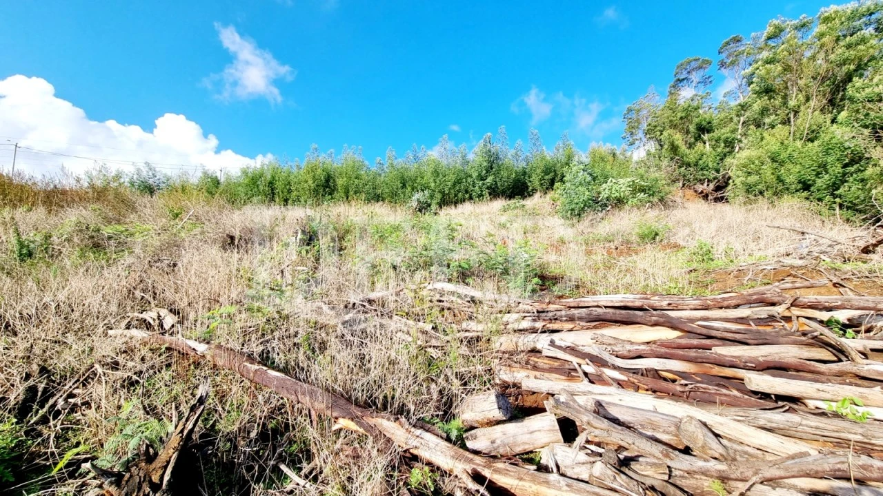 Terreno para Venda em Agua de Pena Foto 3