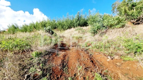 Terreno para Venda em Agua de Pena