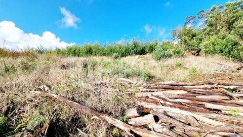 Terreno para Venda em Agua de Pena
