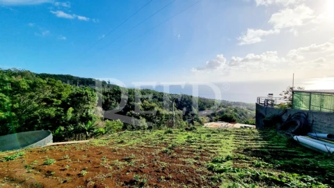 Terreno para Venda em Agua de Pena