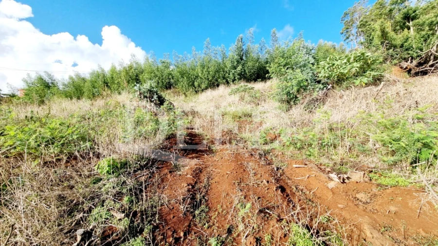 Terreno para Venda em Agua de Pena Foto 2