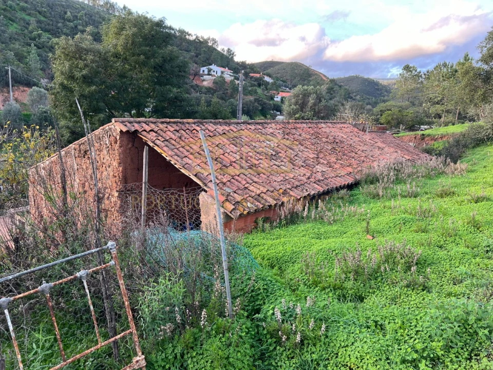 Terreno Misto para Venda em Mexilhoeira Grande Foto 3