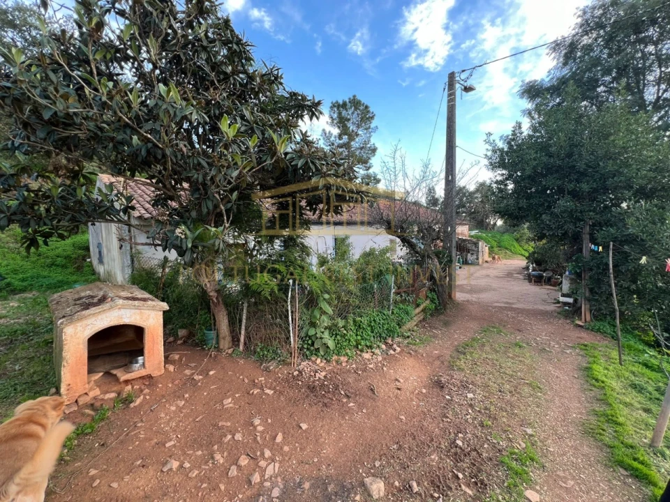 Terreno Misto para Venda em Mexilhoeira Grande Foto 4