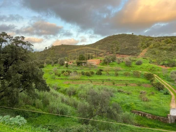 Terreno Misto para Venda em Mexilhoeira Grande
