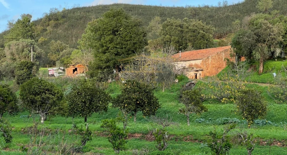 Terreno Misto para Venda em Mexilhoeira Grande Foto 2