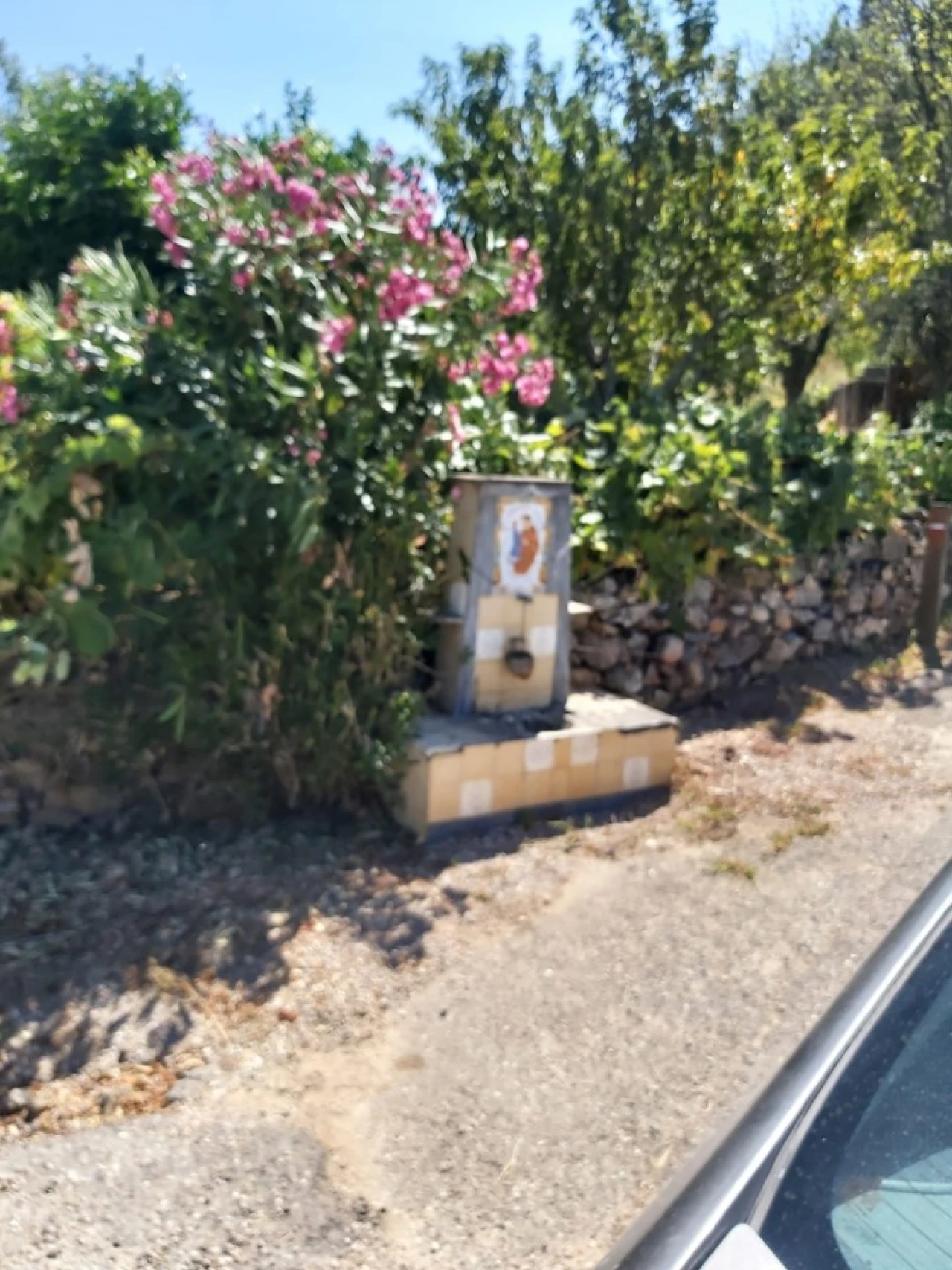 Terreno para Venda em Aldeia do Mato e Souto Foto 2