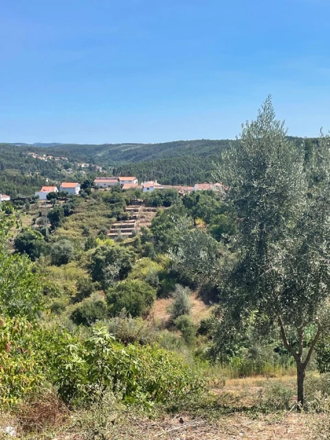 Terreno para Venda em Aldeia do Mato e Souto