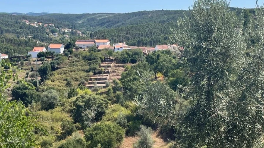 Terreno para Venda em Aldeia do Mato e Souto