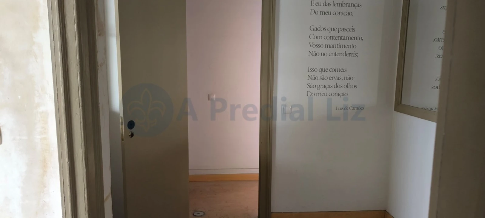Escritório para Venda em Santa Maria Maior Foto 4