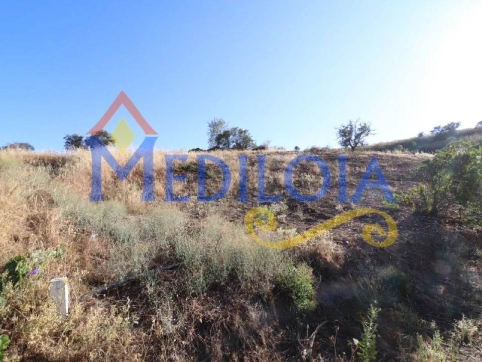 Terreno para Venda em Tavira (Santa Maria e Santiago) Foto 14