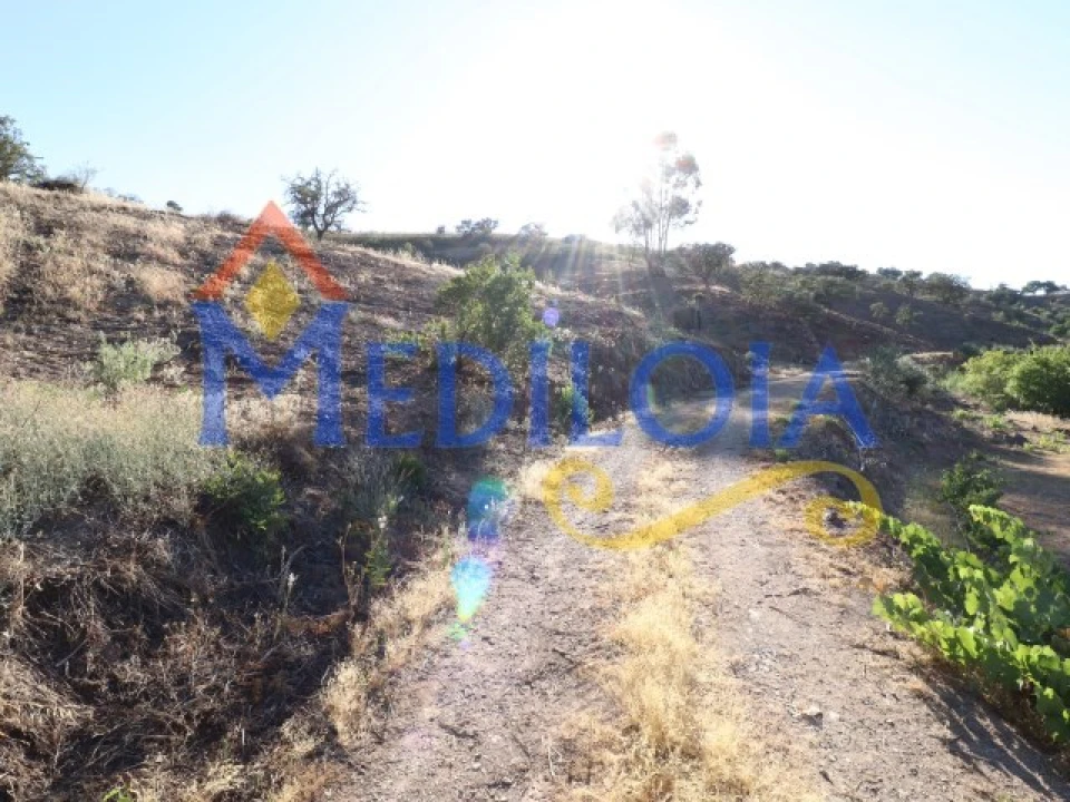 Terreno para Venda em Tavira (Santa Maria e Santiago) Foto 8