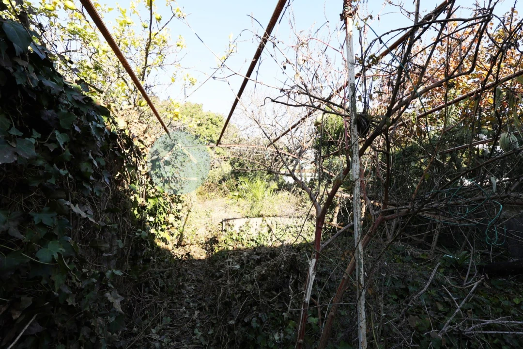 Moradia para Venda em Cedofeita, Santo Ildefonso, Sé, Miragaia, São Nicolau e Vitória Foto 8