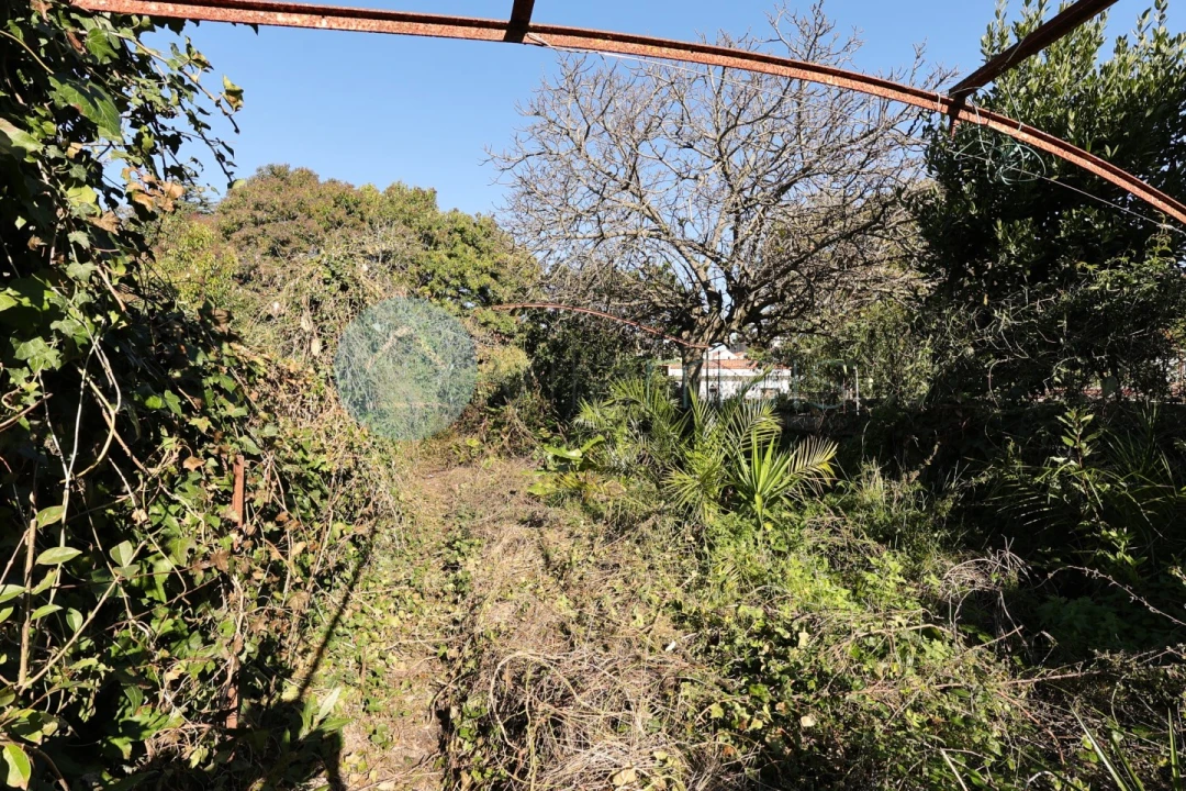 Moradia para Venda em Cedofeita, Santo Ildefonso, Sé, Miragaia, São Nicolau e Vitória Foto 14