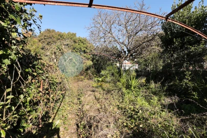 Moradia para Venda em Cedofeita, Santo Ildefonso, Sé, Miragaia, São Nicolau e Vitória