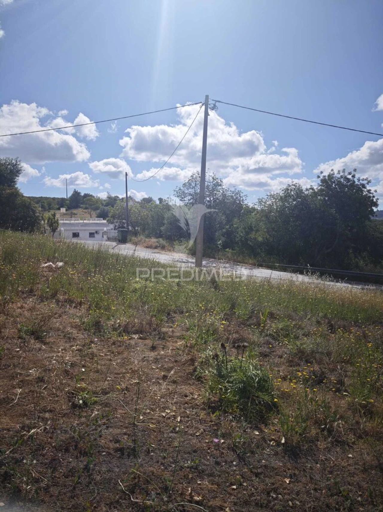 Terreno para Venda em São Brás de Alportel Foto 1