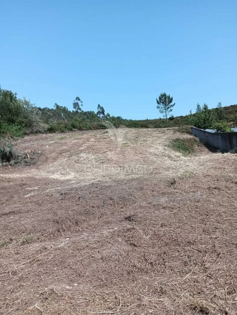 Terreno para Venda em Campo e Sobrado