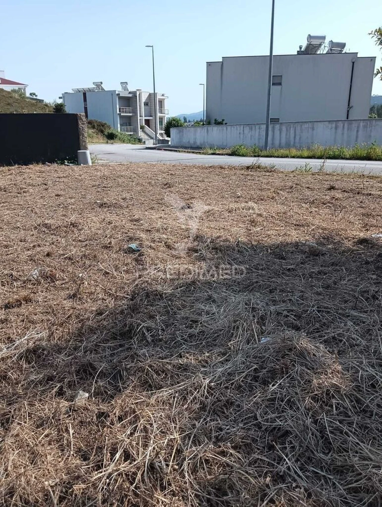 Terreno para Venda em Campo e Sobrado Foto 16
