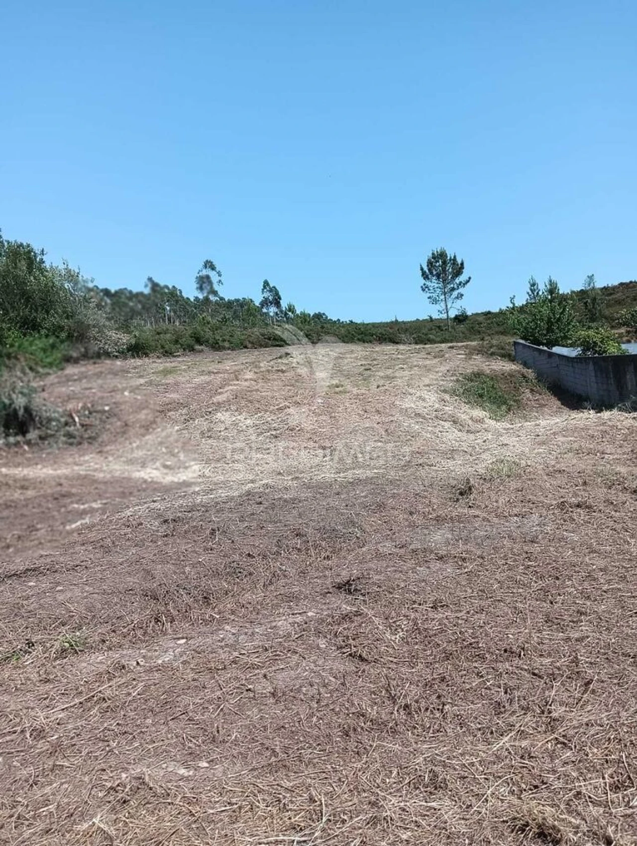 Terreno para Venda em Campo e Sobrado Foto 17