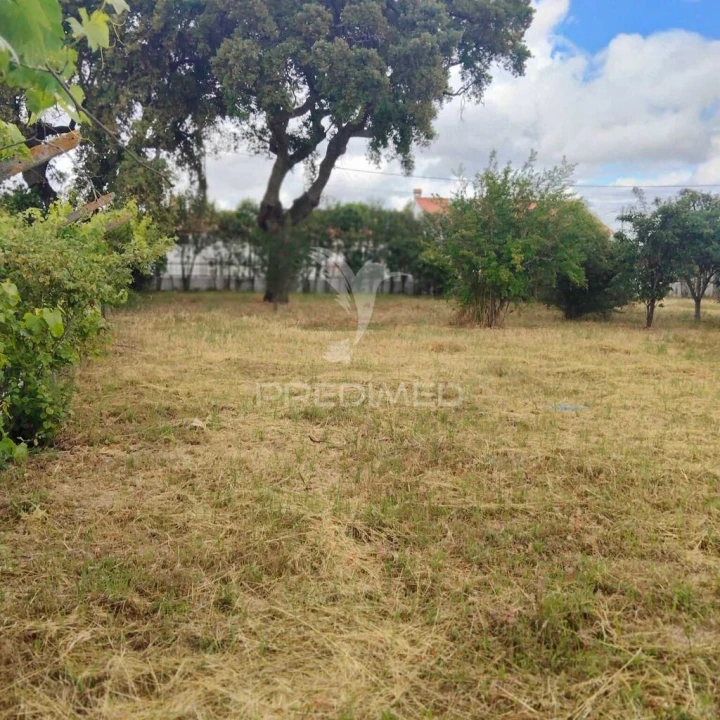 Moradia T3 para Venda em Glória do Ribatejo e Granho Foto 19