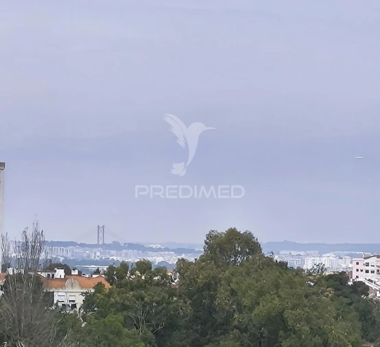 Apartamento T3 para Venda em Seixal, Arrentela e Aldeia de Paio Pires Foto 15