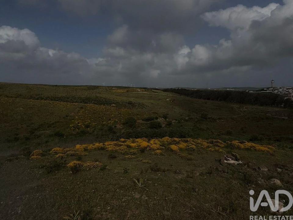 Terreno para Venda em Vila do Bispo e Raposeira Foto 4