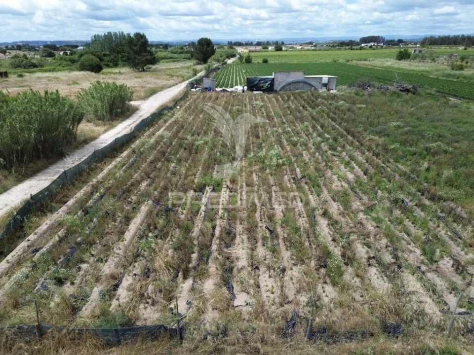 Terreno para Venda em Alpiarça Foto 12