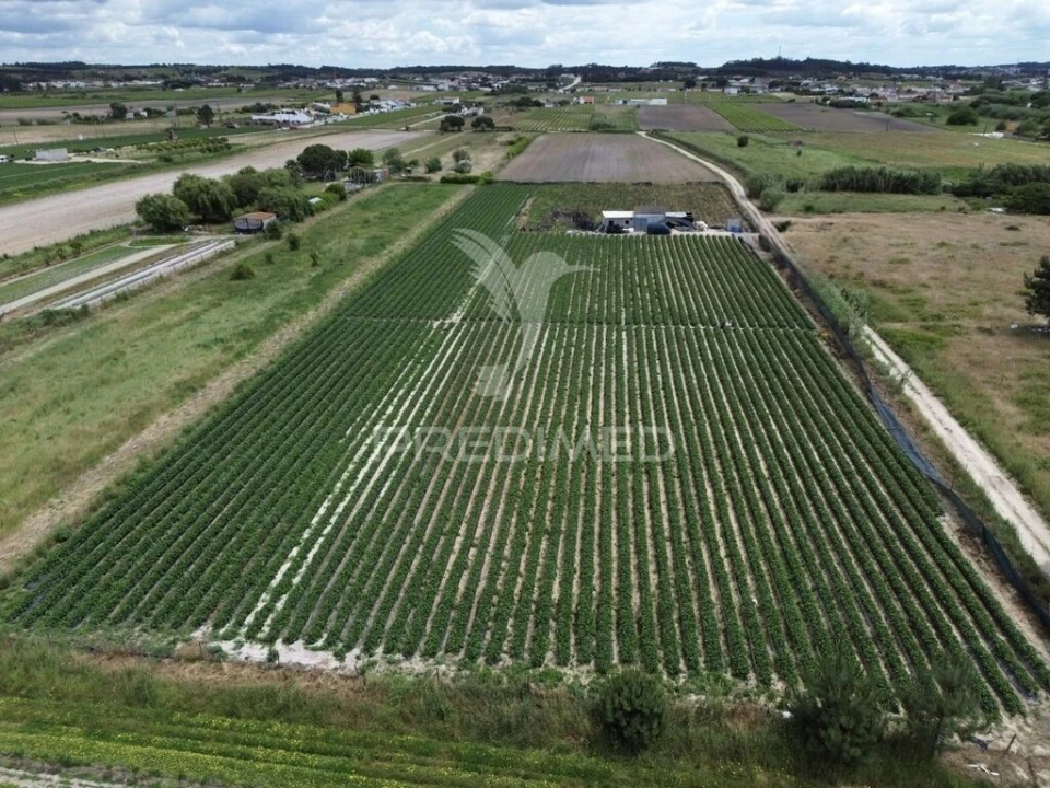 Terreno para Venda em Alpiarça Foto 1