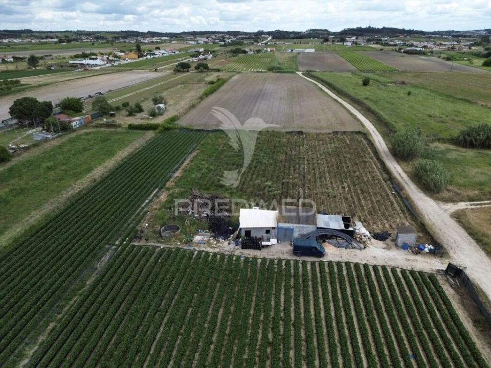 Terreno para Venda em Alpiarça Foto 2