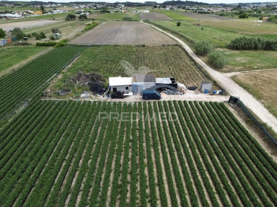 Terreno para Venda em Alpiarça Foto 3