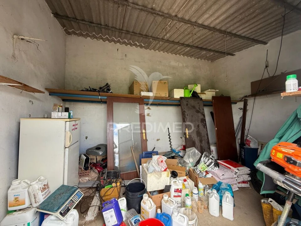 Terreno para Venda em Alpiarça Foto 20