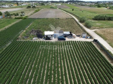 Terreno para Venda em Alpiarça