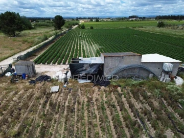Terreno para Venda em Alpiarça