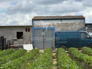 Terreno para Venda em Alpiarça