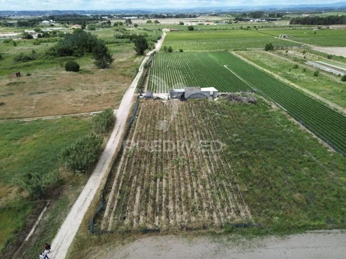 Terreno para Venda em Alpiarça Foto 13