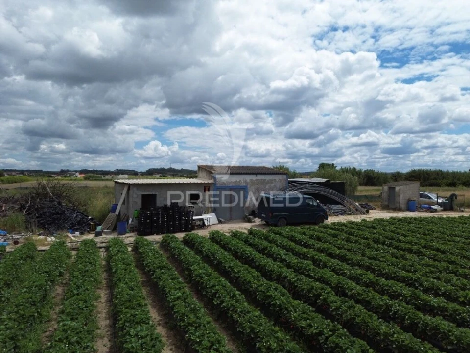 Terreno para Venda em Alpiarça Foto 10