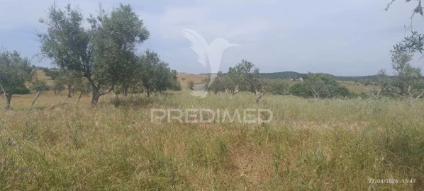 Terreno para Venda em Espírito Santo, Nossa Senhora da Graça e São Simão
