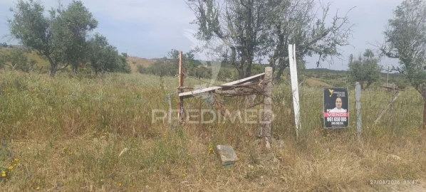 Terreno para Venda em Espírito Santo, Nossa Senhora da Graça e São Simão