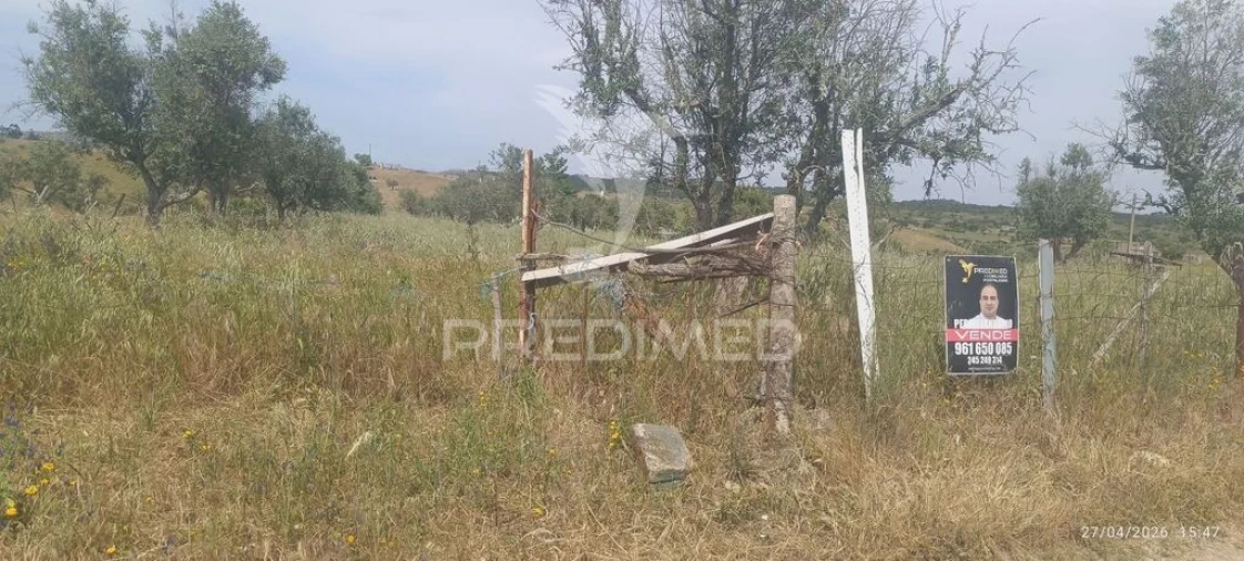 Terreno para Venda em Espírito Santo, Nossa Senhora da Graça e São Simão Foto 5